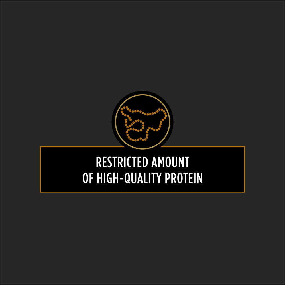 Pro Plan Veterinary Diets NF Fonction Rein bol pour chien, repas pratique.