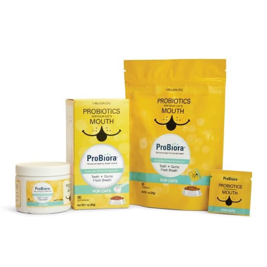Probiora pour chats: soutien de la santé bucco-dentaire par des bactéries bénéfiques.