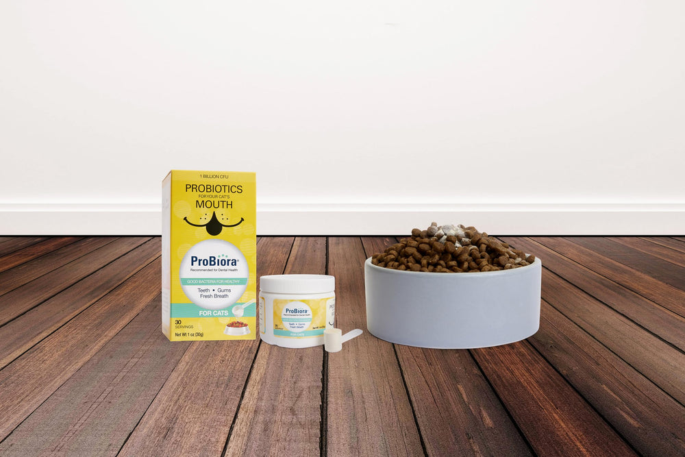 Probiora pour chats: utilisation quotidienne simple et naturelle.