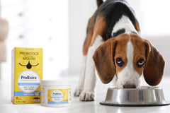 Probiora pour chiens: cuillère-mesure prête à utiliser