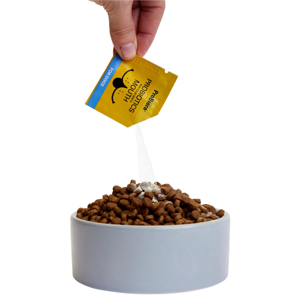 Probiora pour chiens – chien satisfait après le repas.
