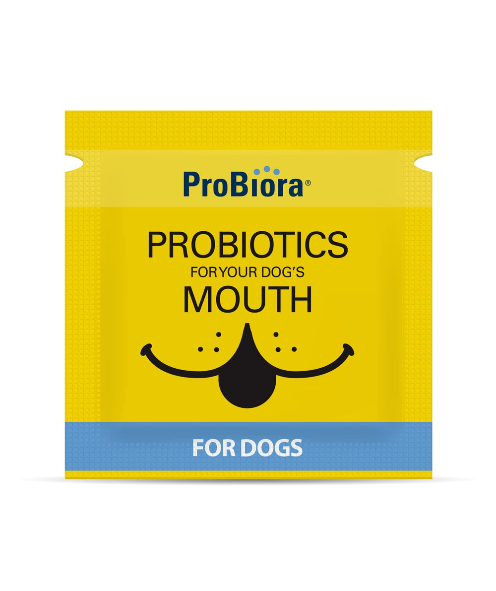 Probiora pour chiens – dents et gencives saines grâce à des bactéries bénéfiques.