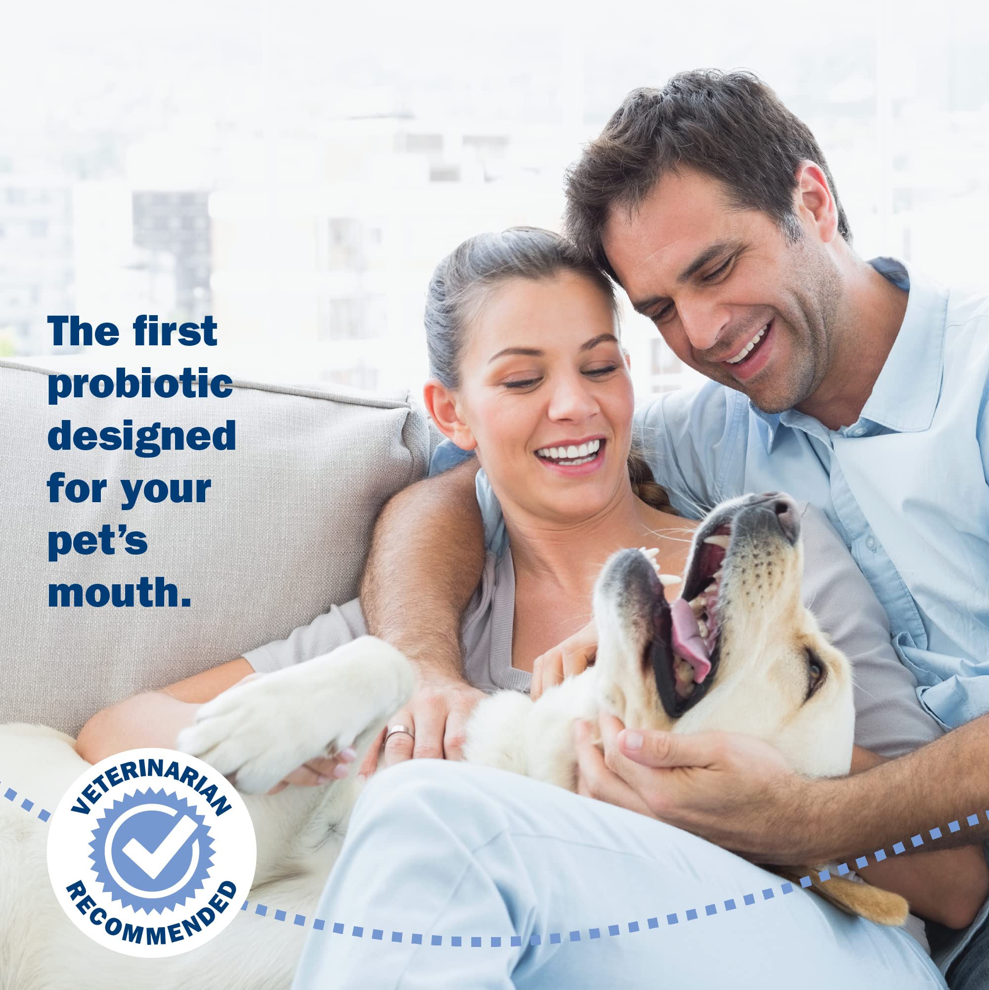 Probiora pour chiens — dents plus blanches: sourire plus éclatant.