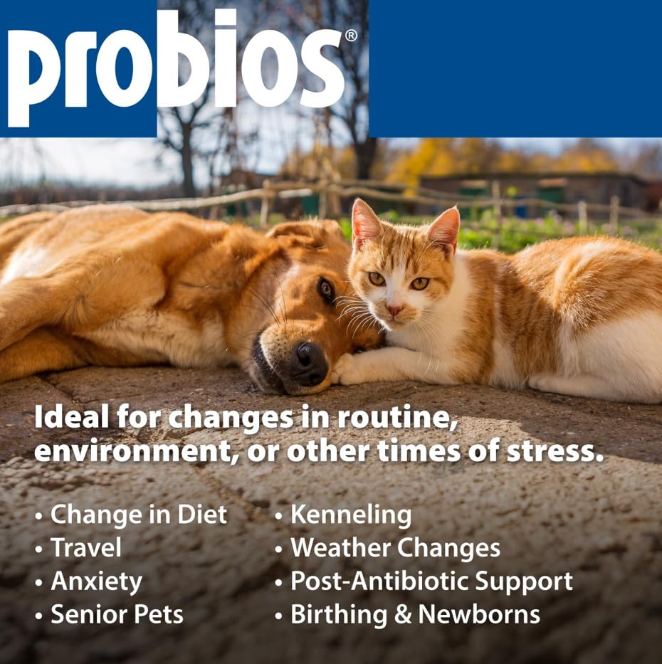 Absorption des nutriments possible – Probios soutient le confort digestif