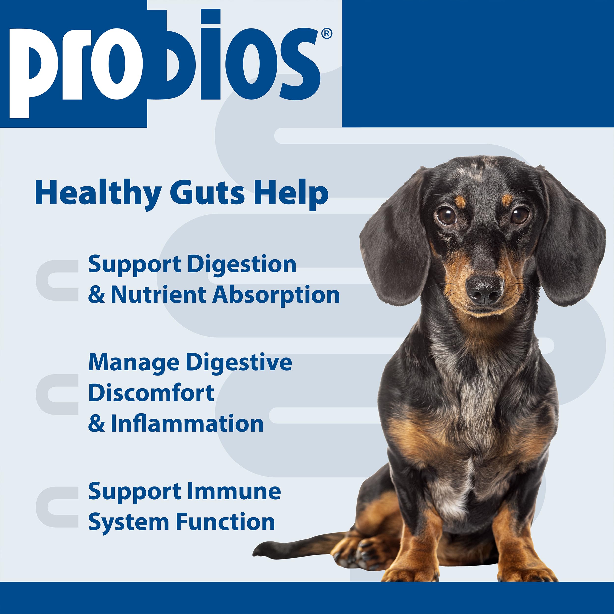 Probios boîte 120 g bouchées chien, administration facilitée.