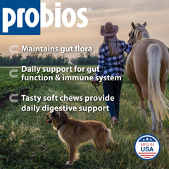 Probios pour chevaux – bouchées pomme en gros plan, texture appétente.
