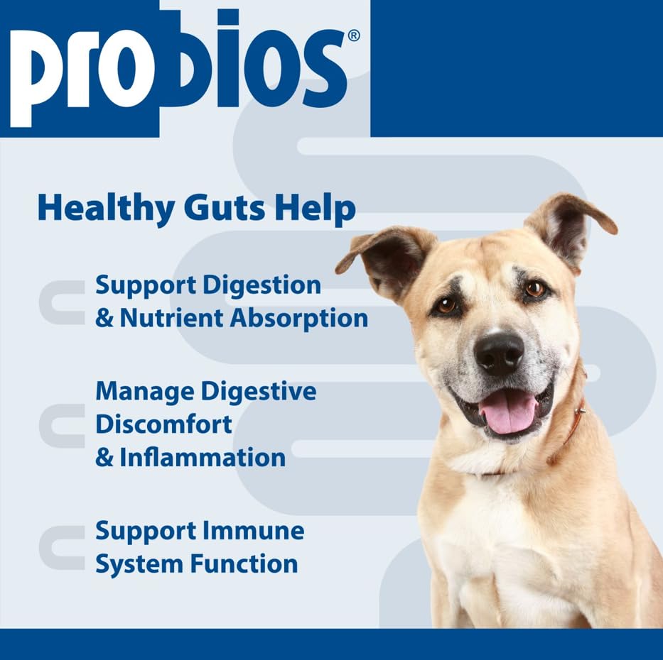 Friandises Probios – saveur foie de poulet, goût apprécié par les chiens