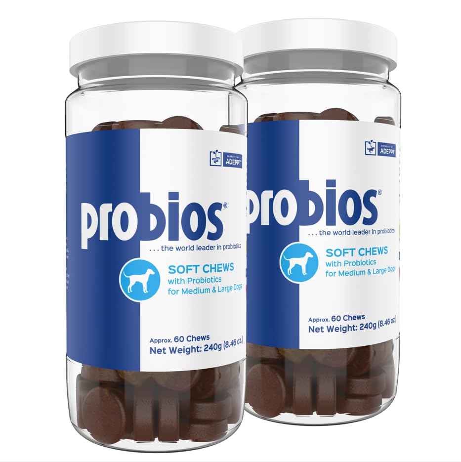 Probios pour chiens – friandises probiotiques en bouteille, soutien quotidien potentiel