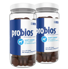 Probios pour chiens – friandises probiotiques en bouteille, soutien quotidien potentiel