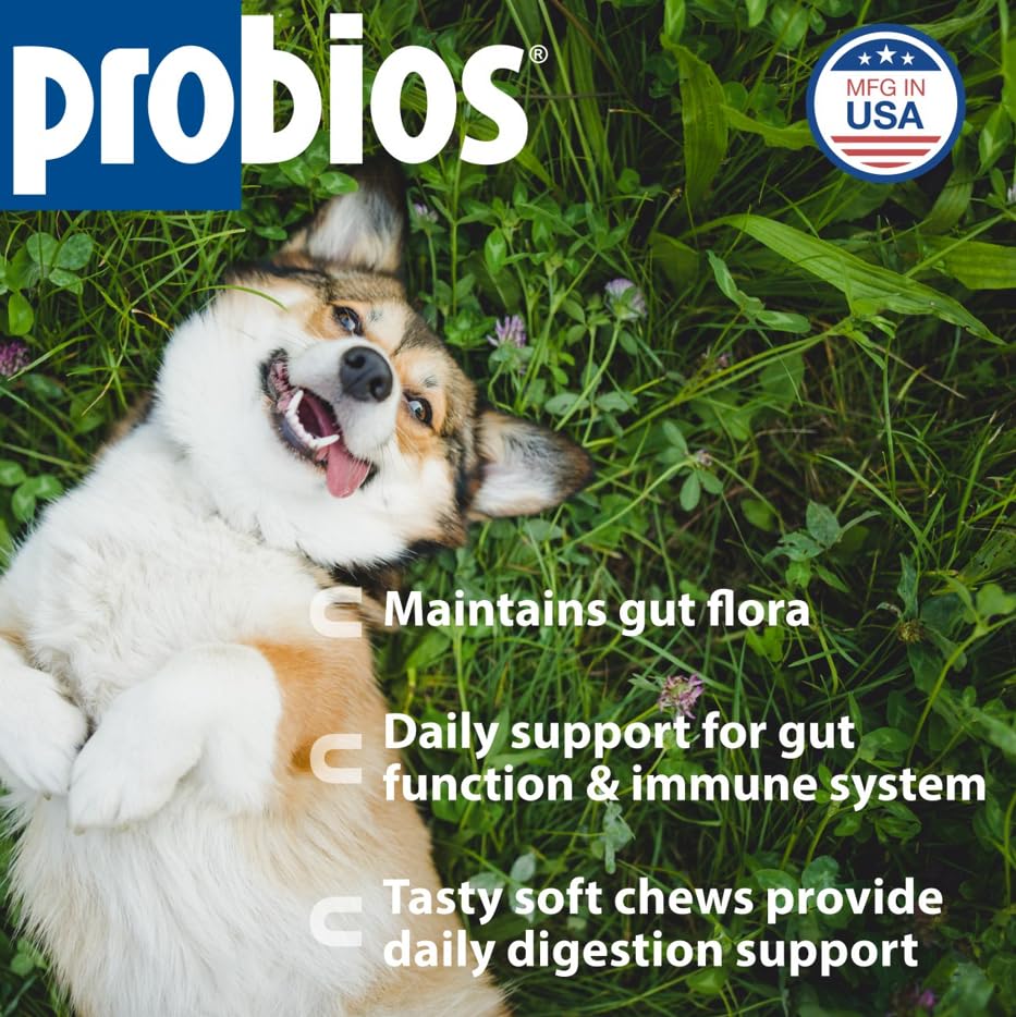 Probios pour chiens – paquet de friandises probiotiques pour routine quotidienne