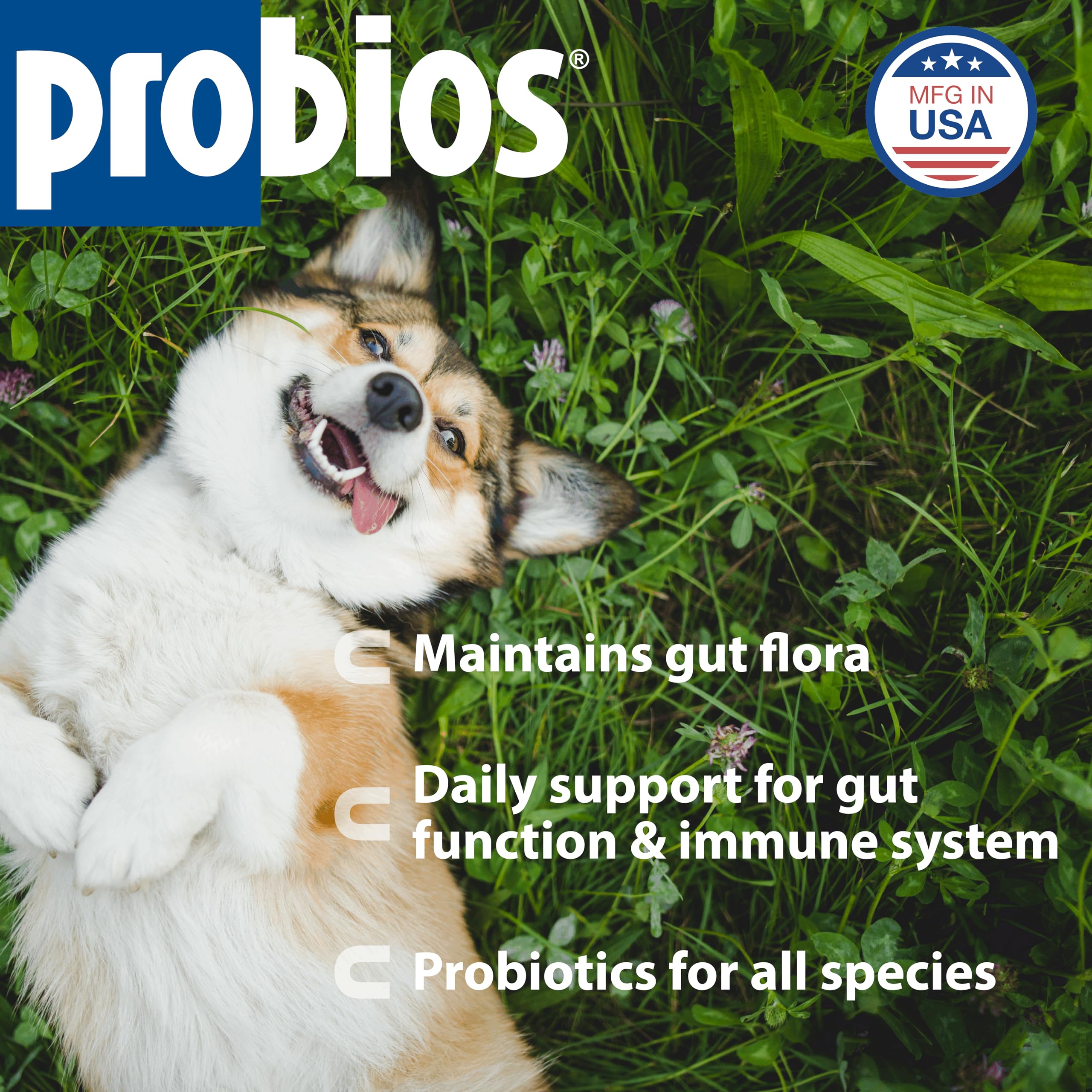 Probios Probiotique de soutien digestif, doseur pratique pour l’eau