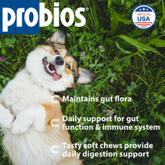 Probios friandises molles chien goût foie poulet, plaisir quotidien.