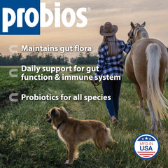 Probios : mélange multi‑bactéries soutenant une flore intestinale diversifiée.