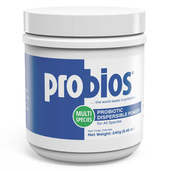 Probios Poudre Probiotique Digestive – bouteille prête à l’emploi, aide à l’équilibre intestinal.