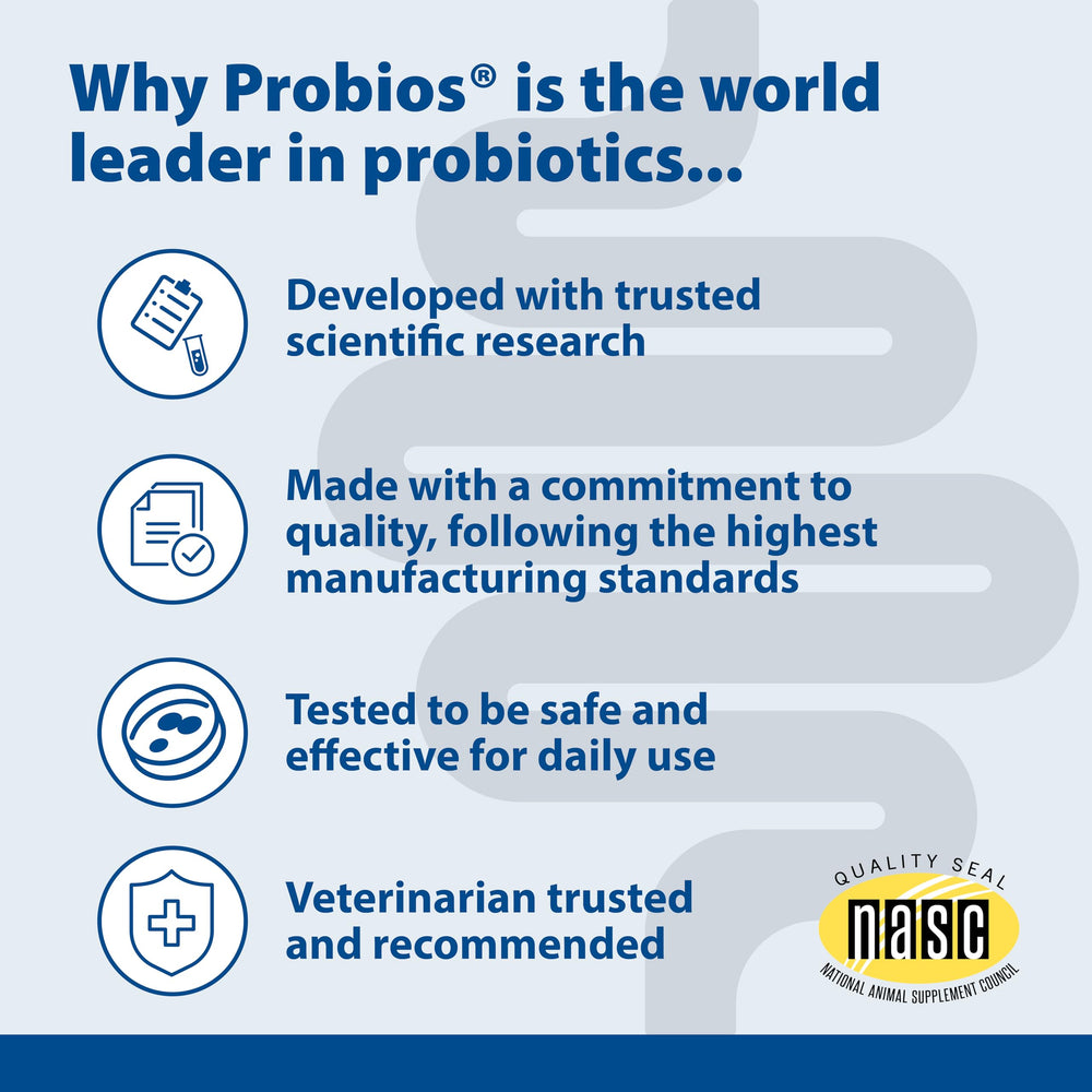 Probios Poudre Probiotique Digestive – bétail/ferme, utilisation simple et efficace.