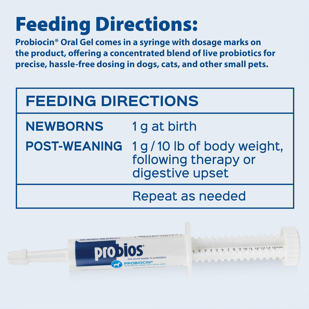 Probios Probiocin Gel utilisé sur un chat pour soutien immunitaire éventuel.