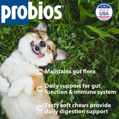 Probios Soft Chews – gout poulet visible, goût agréable pour faciliter l'administration.