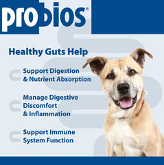 Probios Soft Chews – sachet pratique, solution facile pour le quotidien.