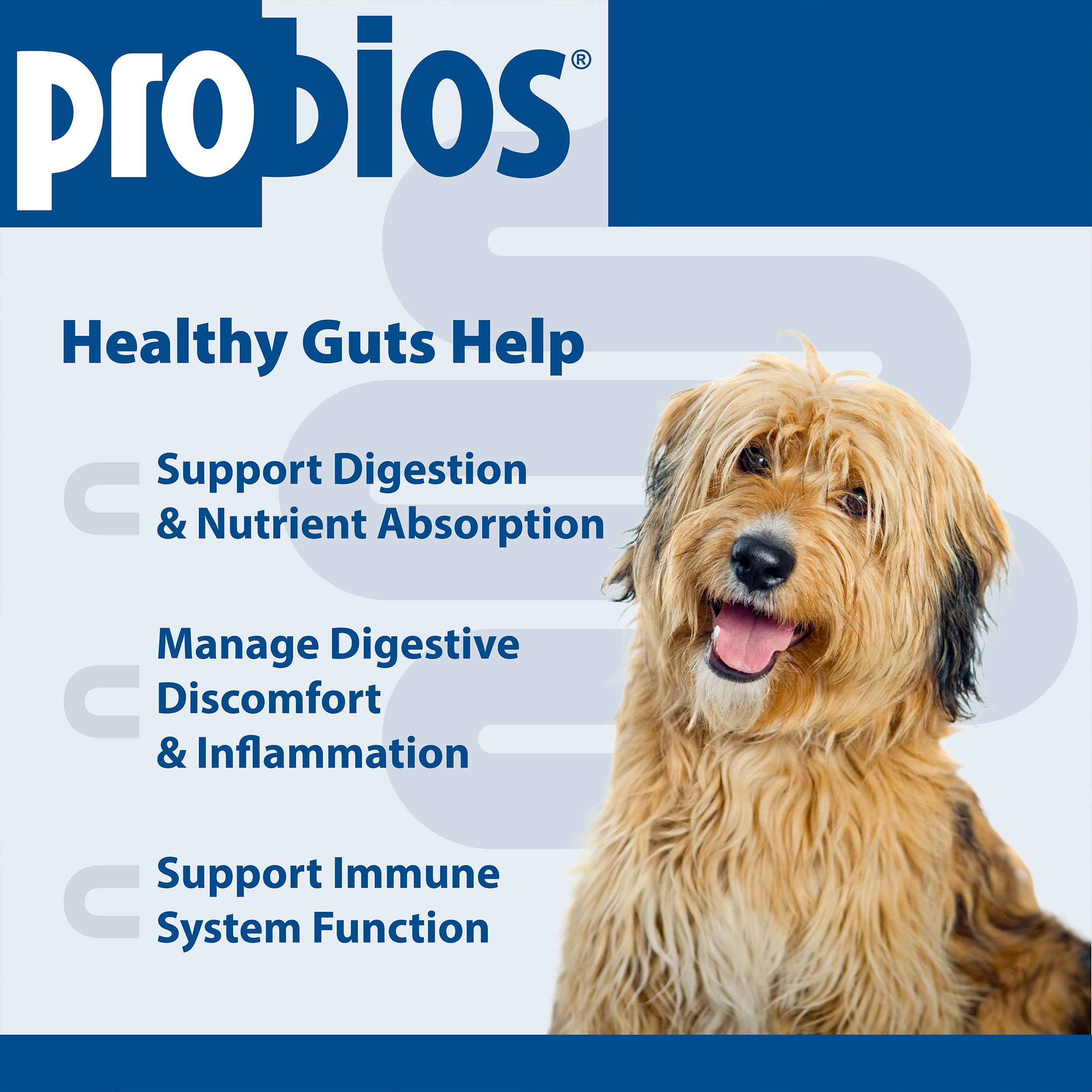 Probios: tablette saveur foie pour chien, goût apprécié au quotidien.