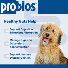 Probios: tablette saveur foie pour chien, goût apprécié au quotidien.