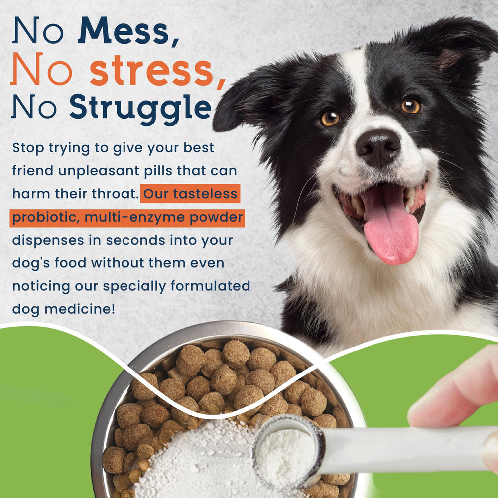 Poudre probiotique pour chiens: mélange facile au repas quotidien.
