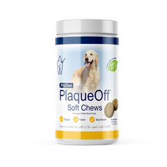 ProDen PlaqueOff Soft Chews boîte visible, facilite l'intégration d'une routine dentaire pour chiens.