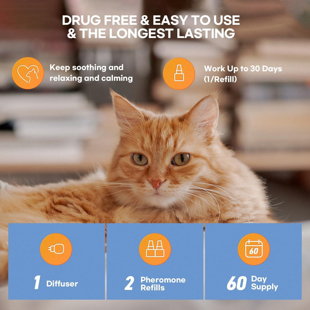 Plusieurs chats harmonisés grâce aux pheromones ProElobara