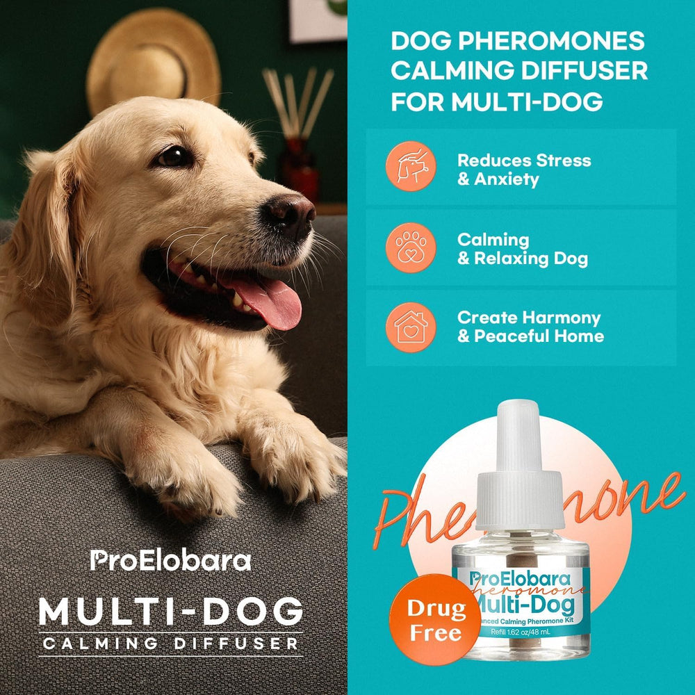 Kit ProElobara pour chiens: diffuseur apaisant, réduction potentielle du stress à la maison.