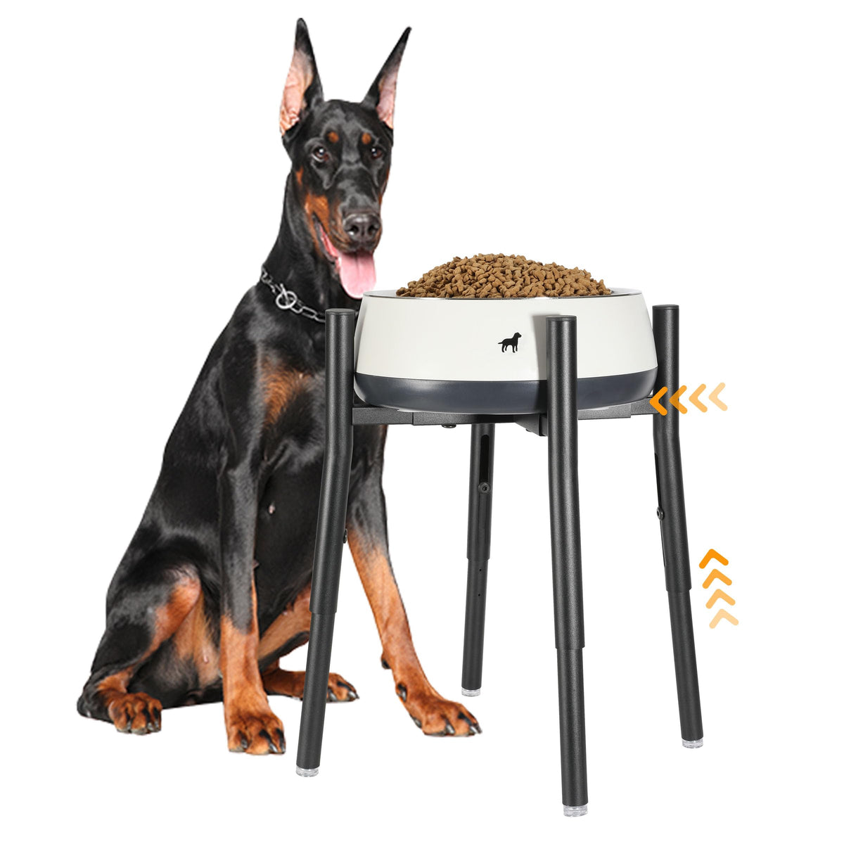 PROERR support bol chien elevé; hauteur réglable pour repas confortables.