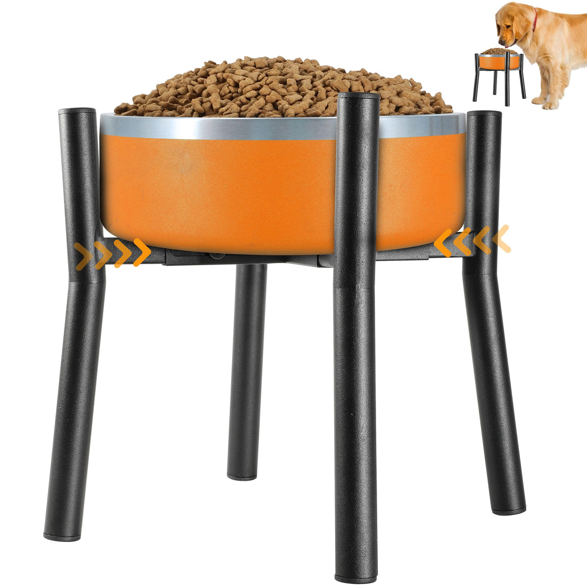 PROERR support-bols-chien-eleve pour repas ergonomique et stable