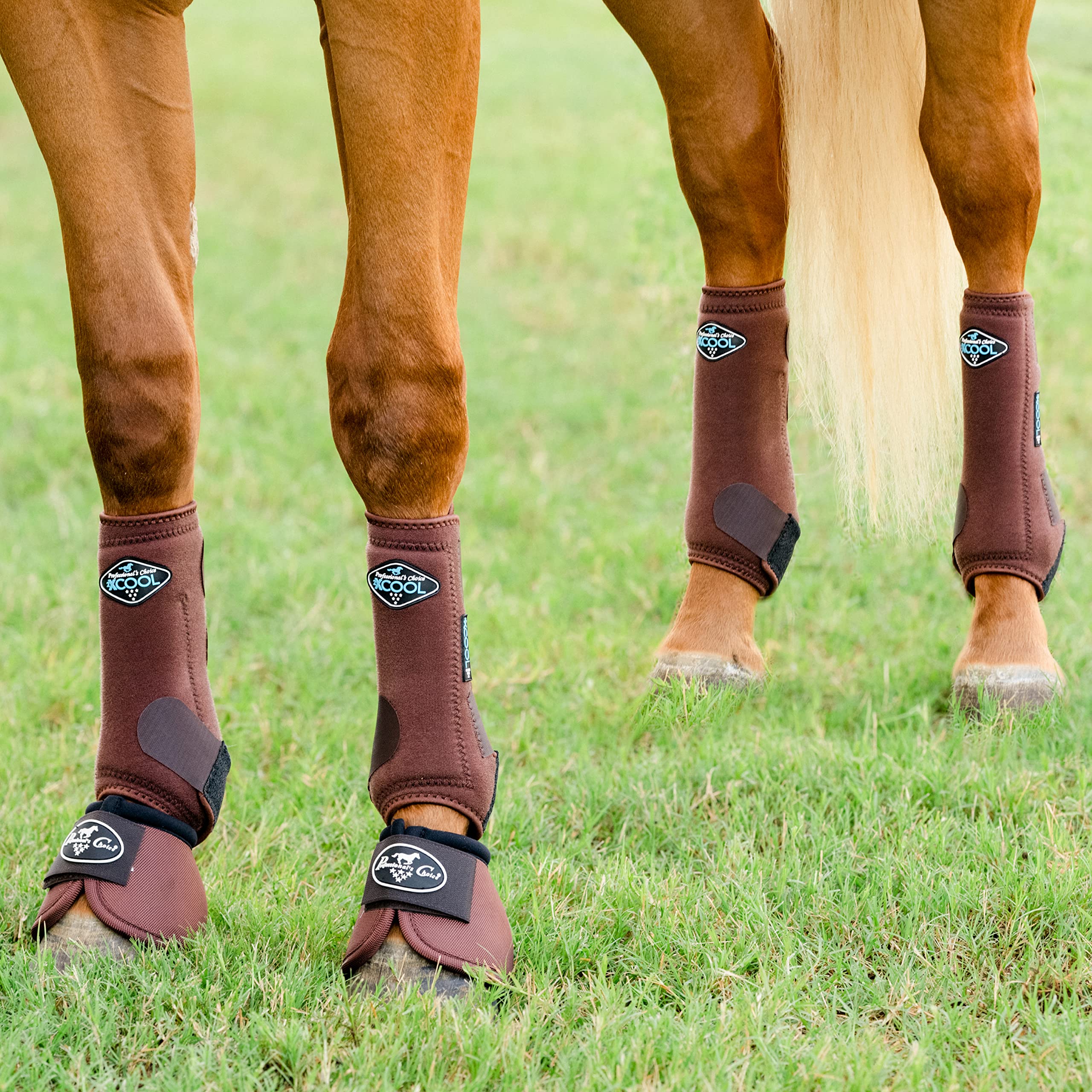 Professional's Choice 2XCOOL bottes sport cheval – refroidissement rapide et gestion d'humidité.