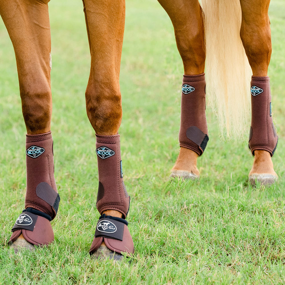 Professional's Choice 2XCOOL bottes sport cheval – refroidissement rapide et gestion d'humidité.