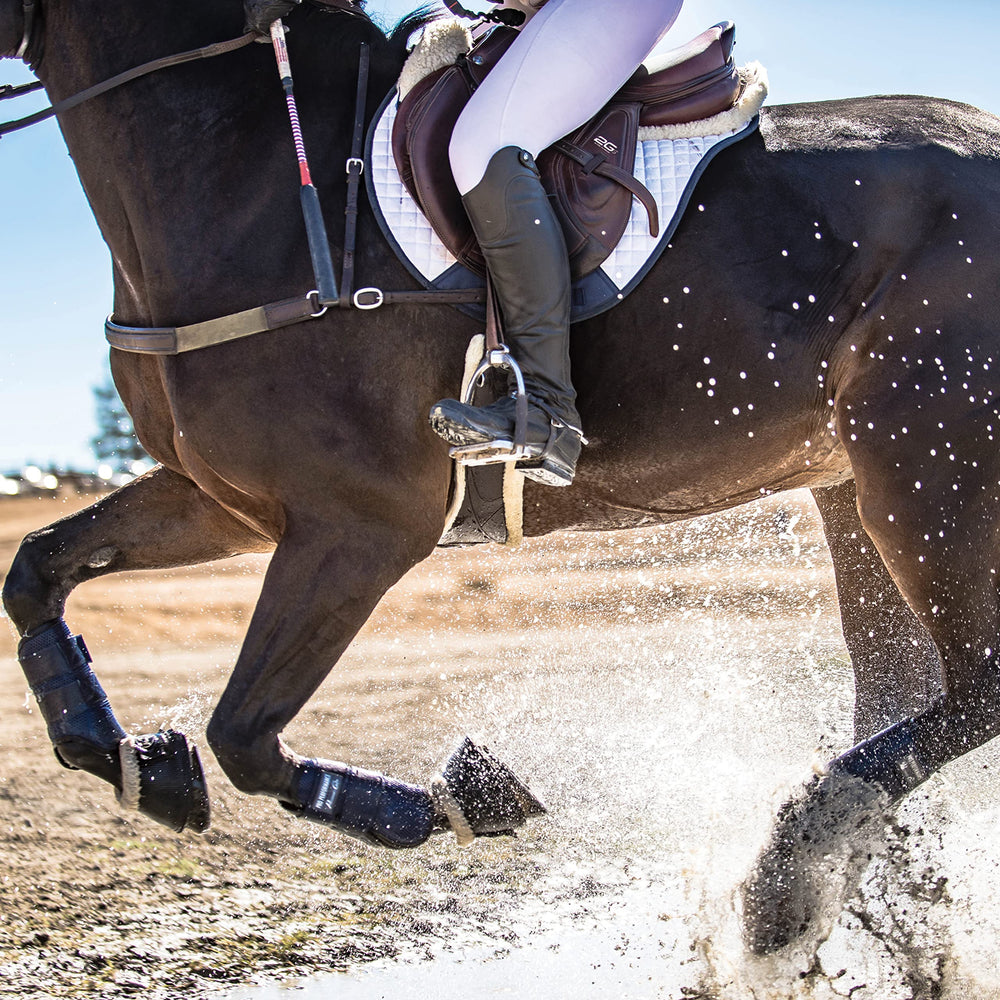 Professional's Choice Bottes Pro Performance Elite XC - arrière droit, protection flexible et aération.
