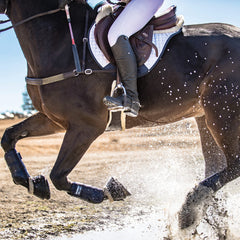 Professional's Choice Bottes Pro Performance Elite XC - arrière droit, protection flexible et aération.