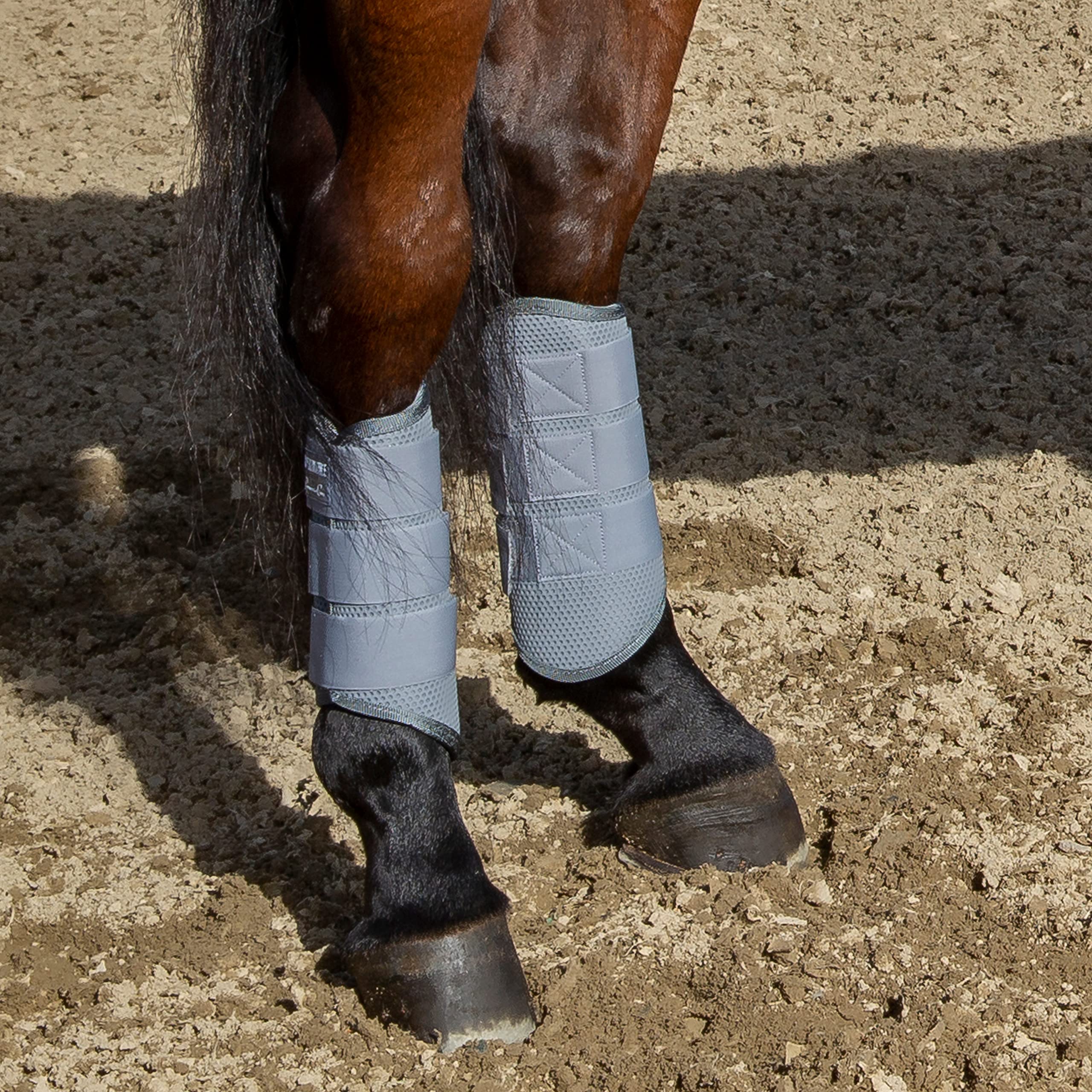 Professional's Choice Pro Performance Elite XC, intérieur mousse perforée offrant confort et ventilation