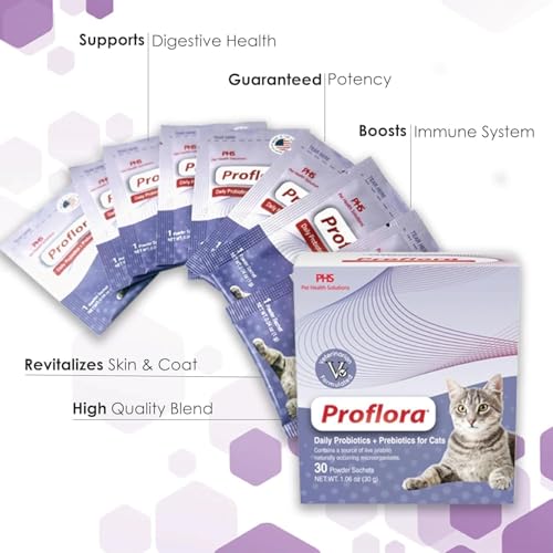 Proflora chat-immunite-systeme: soutien potentiel pour la sante generale du chat.