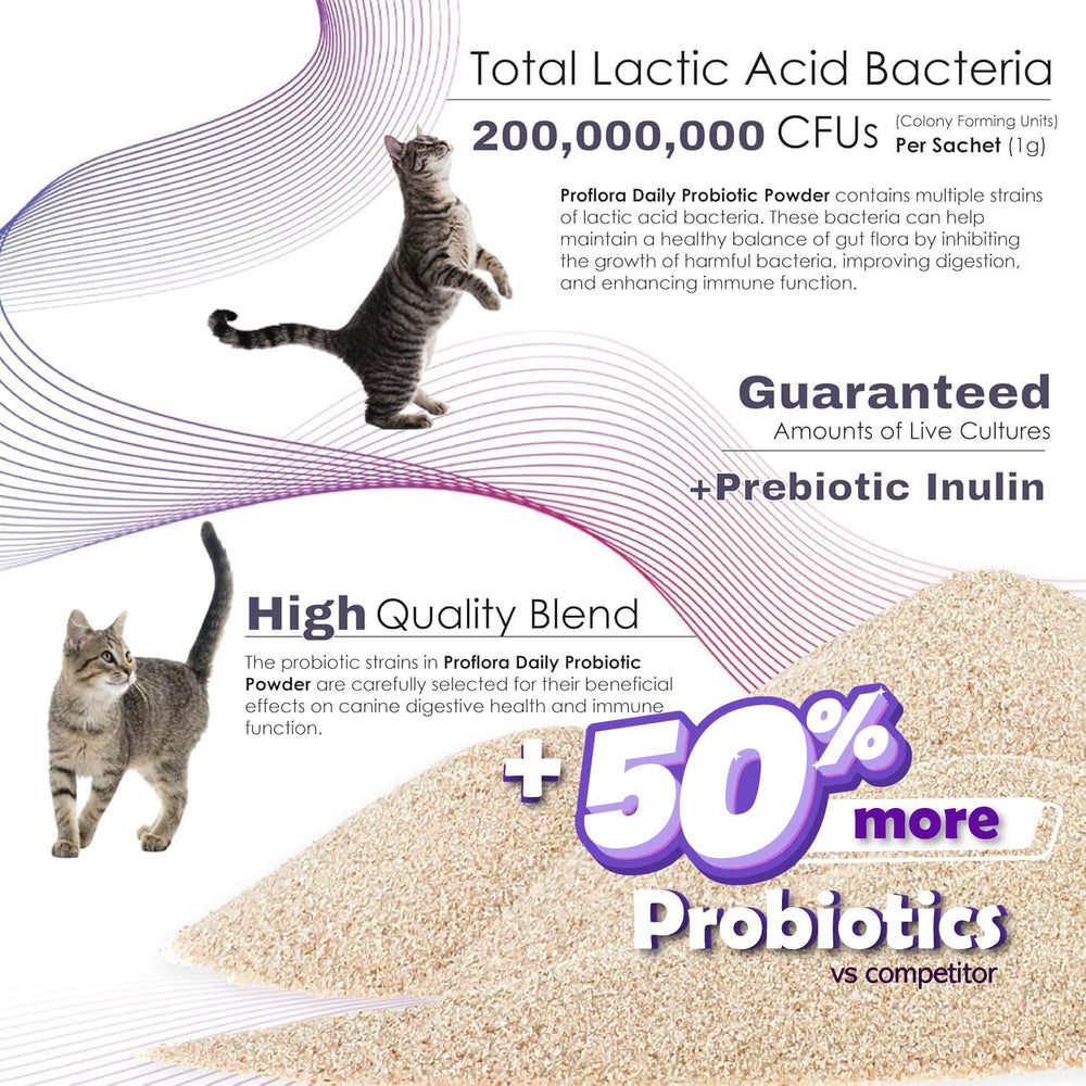 Proflora-chat-regularite-digestion: aide a reguler les selles.