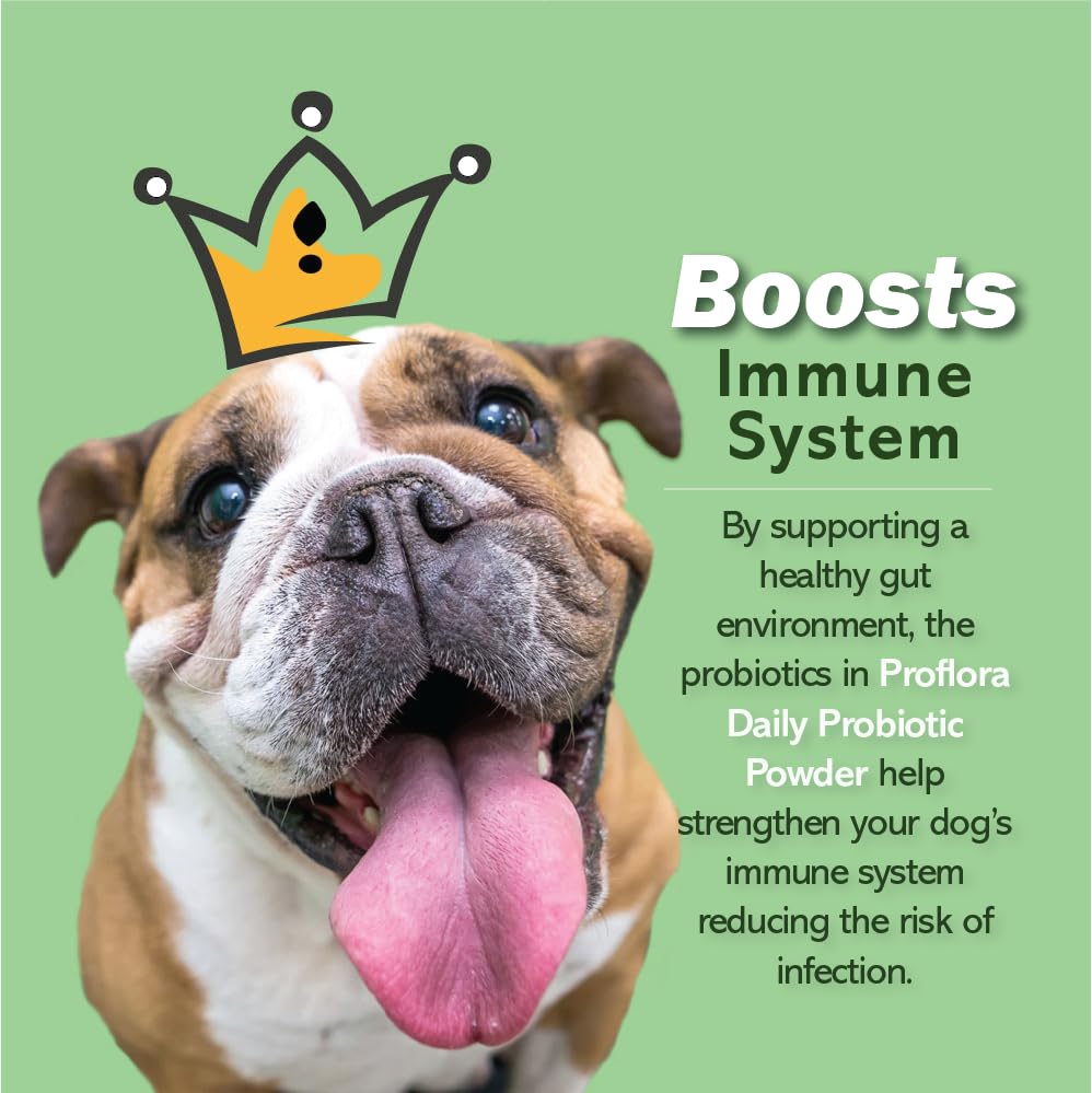 Proflora Daily Probiotics pour chiens — sachets d’usage quotidien, aide potentielle à l’équilibre intestinal.