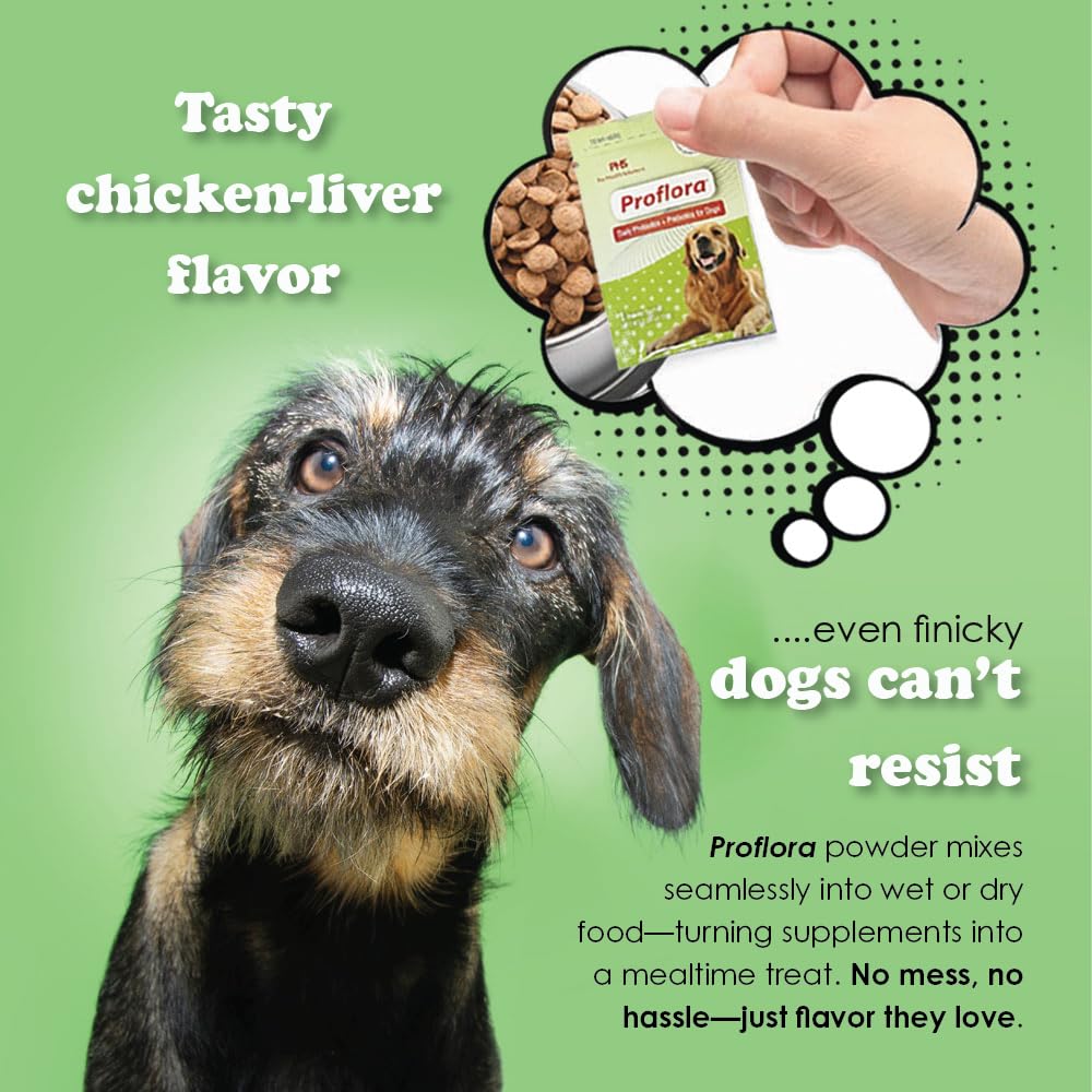 Proflora Daily Probiotics pour chiens — fabrication américaine, ingrédients sourcés globalement.