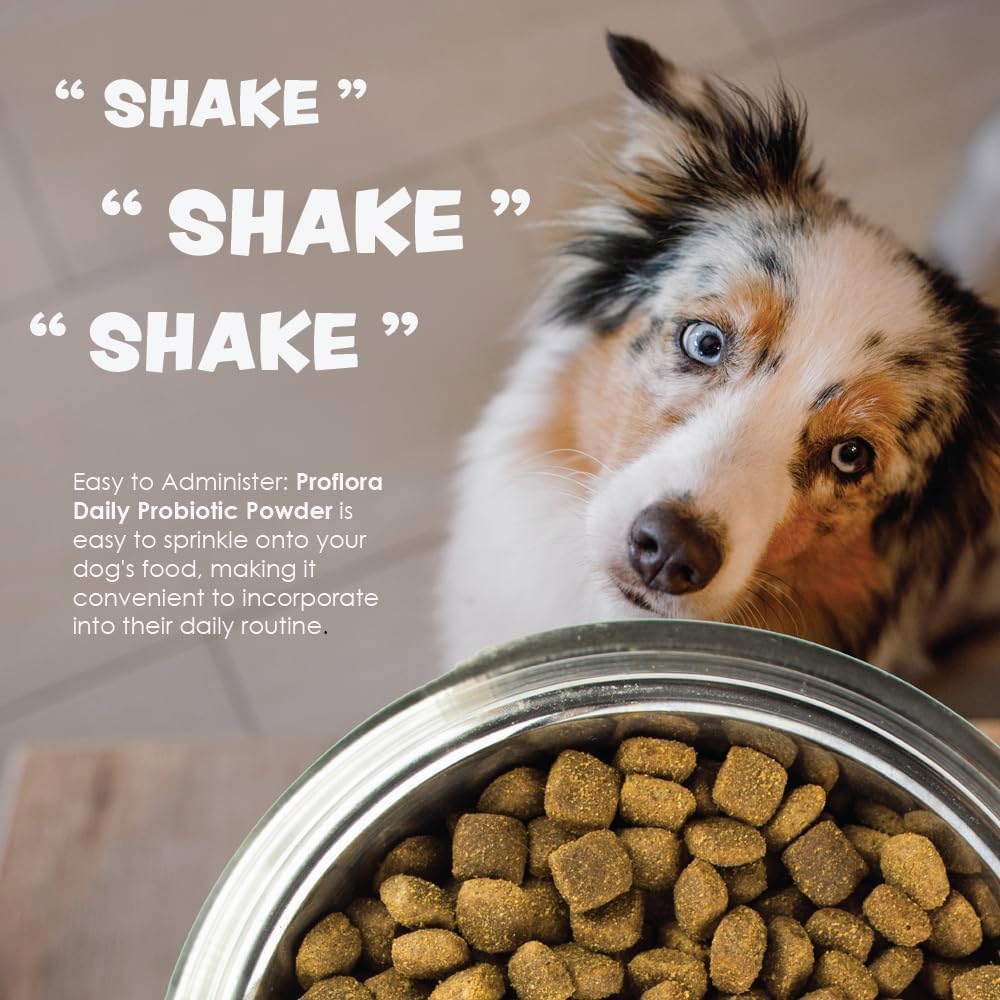 Proflora Daily Probiotics pour chiens — flore intestinale équilibrée pour chiens de toutes tailles.