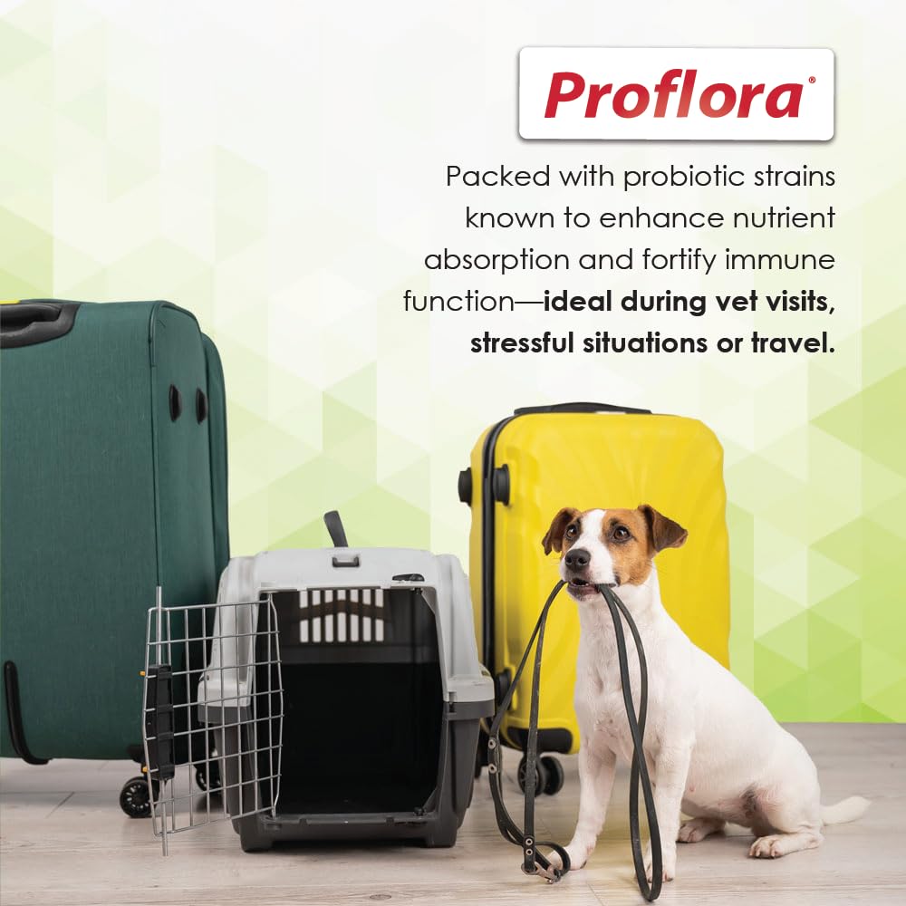 Proflora Daily Probiotics pour chiens — poudre facile à doser, intégration simple dans la routine.