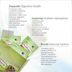 Proflora Daily Probiotics pour chiens — sachets illustrés, administration facile au quotidien.