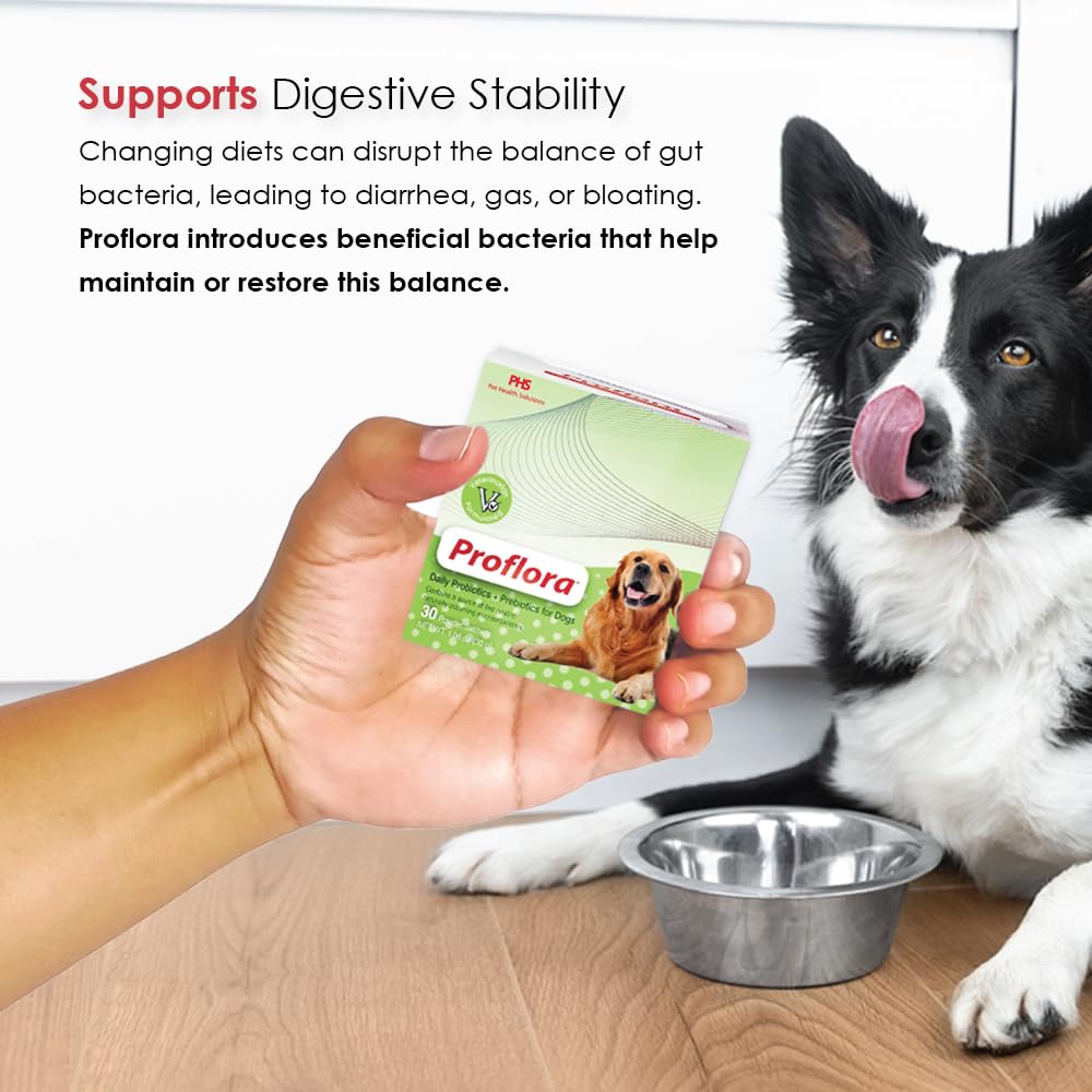 Proflora Daily Probiotics pour chiens — soutien digestif pour chiens de toutes tailles.