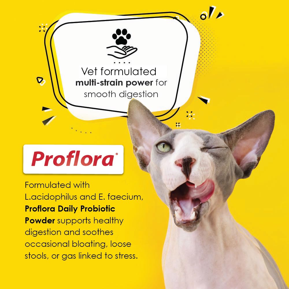 Proflora poudre-melange-nourriture-rapide: se melange sans effort dans les repas.