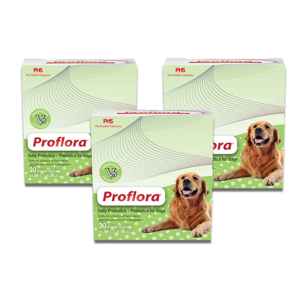 Proflora Probiotique pour chien, poudre dosage facile, soutien du système digestif.