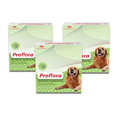 Proflora Probiotique pour chien, poudre dosage facile, soutien du système digestif.