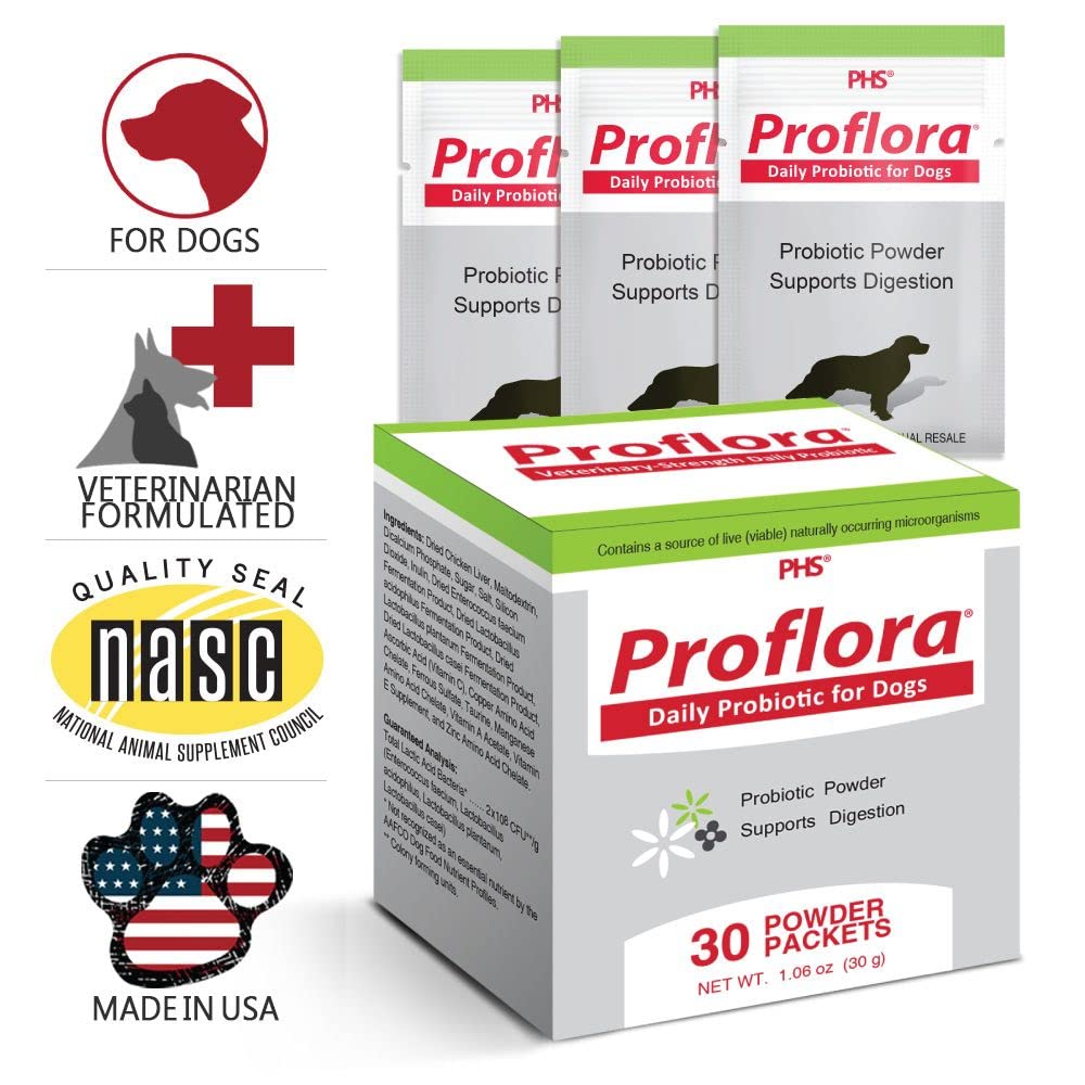 Routine alimentaire avec Proflora Probiotique pour chien, plaisir et simplicité.