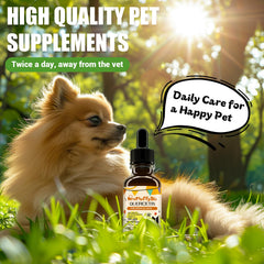 Ingrédients naturels de ProFluffyBio Quercétine chien – sans additifs irritants.