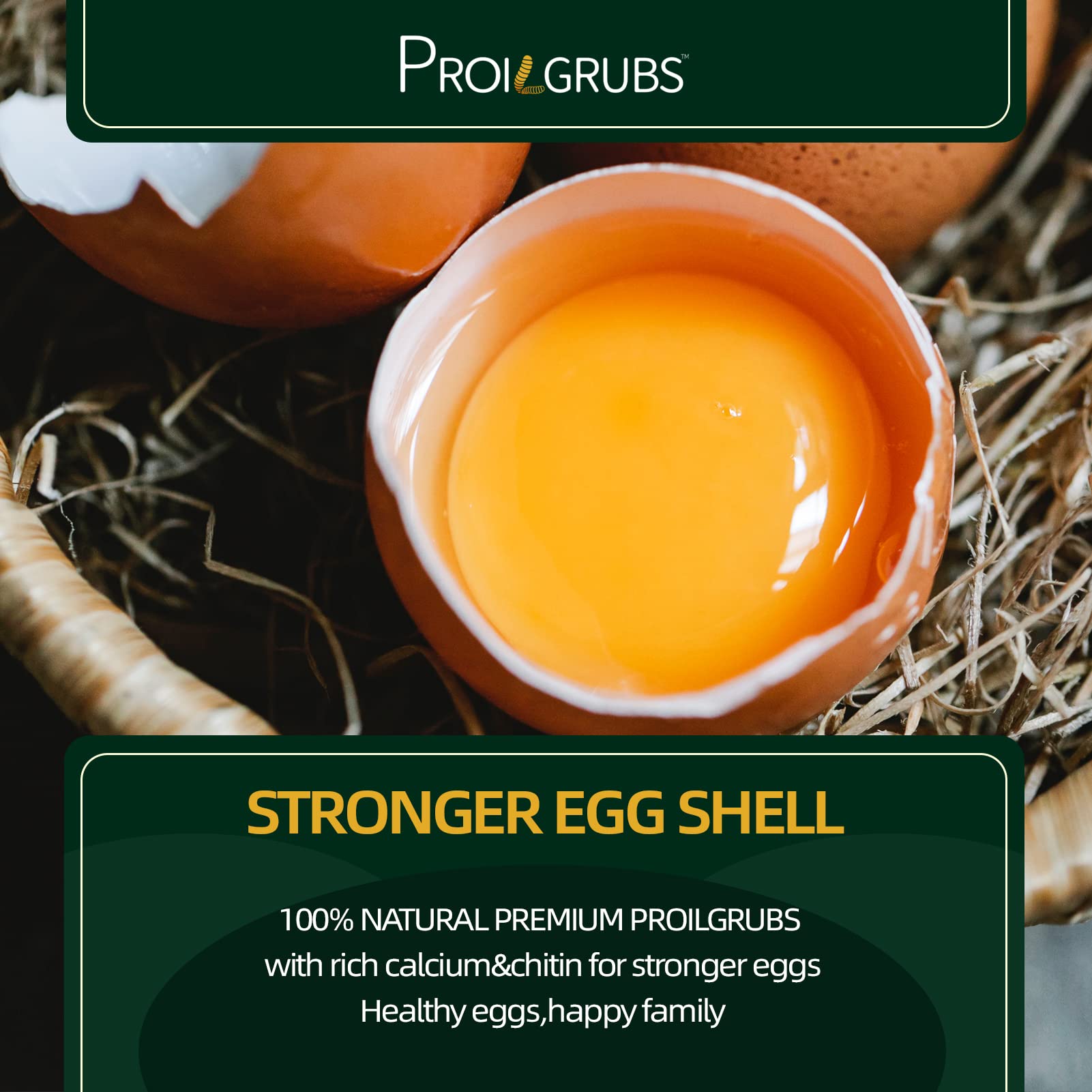 PROILGRUBS: odeur appétissante qui attire les poules et stimule l’alimentation.