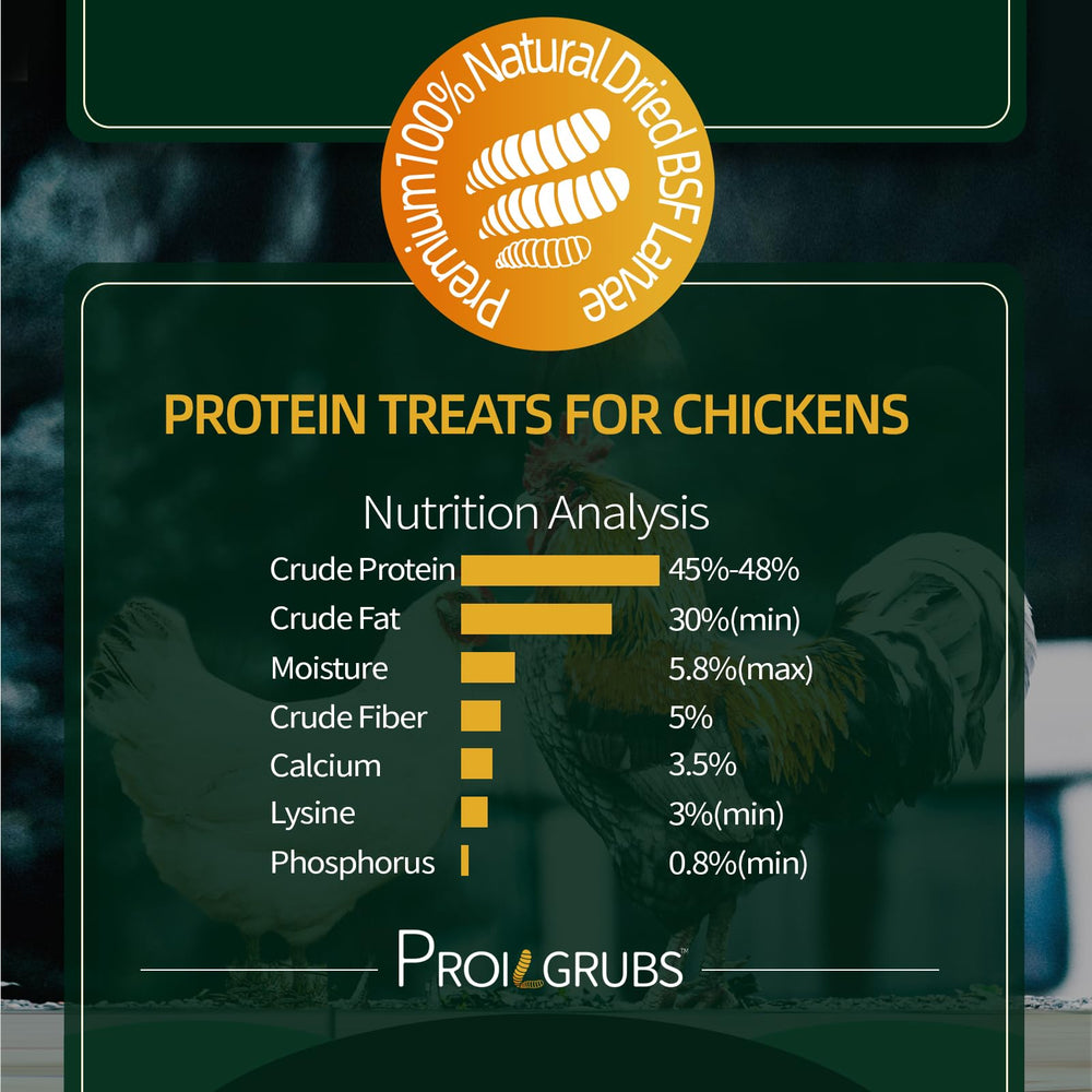 PROILGRUBS: utilisation simple dans l’alimentation quotidienne des volailles.